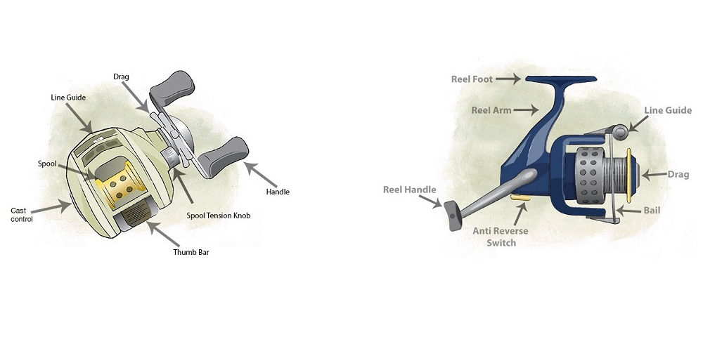 Fishing Reel Double Handle VS Fishing Reel Single Handle