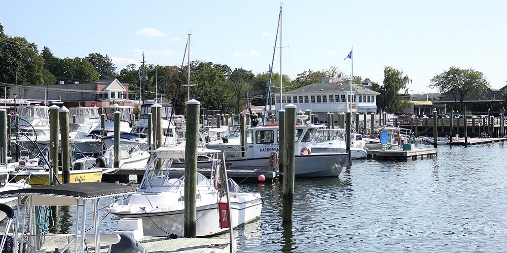 New York Fishing Reports