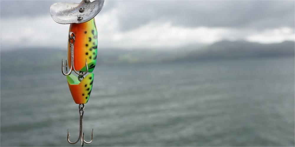 What you need to know about freshwater bait