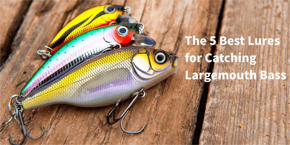 The 5 Best Lures for Catching Largemouth Bass