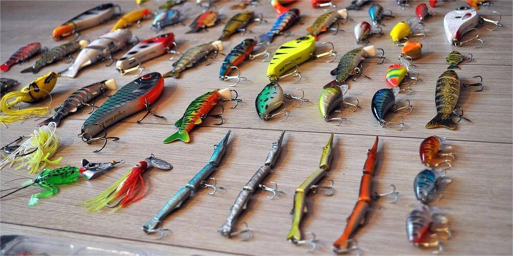 Frequently Asked Questions About Baits Answers